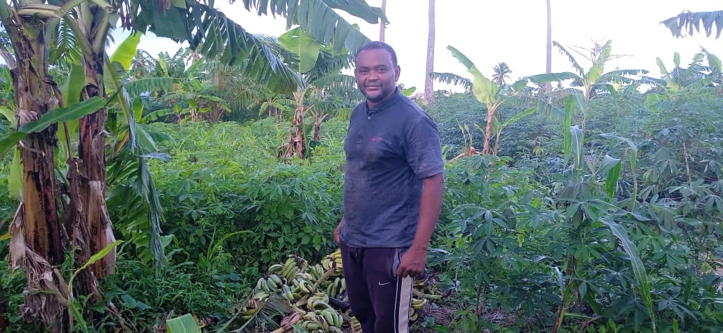 image Intempéries L'entrepreneur Fayçal Bianrifi a perdu 800 régimes de bananes